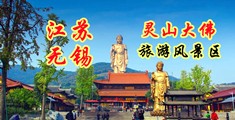 特写高清屄江苏无锡灵山大佛旅游风景区