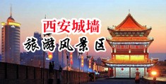最骚淫荡对白操逼大全中国陕西-西安城墙旅游风景区